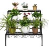 Tangkula 3-Tier Metal Plant Stand Flower Potted Holder Ladder Storage Rack for Outdoor Indoor Use - 3 of 4