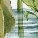 farmhouse gray