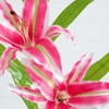 Nearly Natural 33-in Artificial Stargazer Lily Flower, Set of 3, Pink - 3 of 3