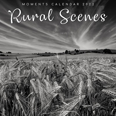 The Gifted Stationery 2021 - 2022 Monthly Wall Calendar, 16 Month, Black and White Rural Scenic Theme with Reminder Stickers, 12 x 12 in