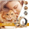 Cat Running Wheel For Large Cat Up To 44Lbs,  Cat Exercise Wheel With Silent Wheel-Cuddlewood - 3 of 4