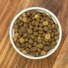 Muenster Chicken Flavor Perfect Balance Kibble and Freeze Dried Dry Dog Food - 3.5lbs - 3 of 4