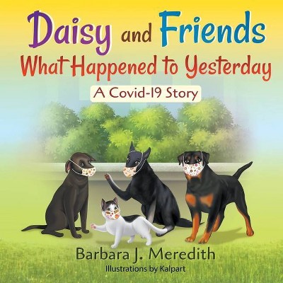 Daisy and Friends What Happened to Yesterday - by  Barbara J Meredith (Paperback)