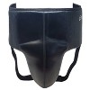 Rival Boxing RNFL3 Pro 180 No-Foul Groin Protector - image 2 of 2