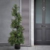 National Tree Company 50" Pre-Lit Boxwood Spiral Topiary in Nursery Pot Artificial Tree: Faux Polyethylene, Indoor/Outdoor Use - 2 of 3