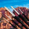 Creative Mark Pro Stroke Premium White Chungking Hog Bristle Artist Paint Brush - Rounds Set of 5 - Natural Bristle Brush w/ Soft Touch Handle for - 3 of 4
