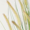 Sullivans Artificial Potted Dogtail Grass - 2 of 4