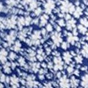 blue flower