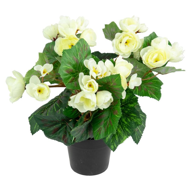 Northlight 11" Cream Potted Silk Begonia Spring Artificial Floral Arrangement, 3 of 6