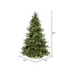 Vickerman 7.5' Mixed Country Pine Artificial Christmas Tree, Warm White Dura-Lit® LED Lights In a 21"Lx21"Wx7"H base. - 3 of 4