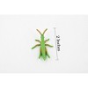 Collectible Wildlife Gifts | Grasshopper, Rubber Insect, Realistic Toy Figure, Model, Replica, Kids, Educational, Gift,     2"    CH400 BB108 - 2 of 4