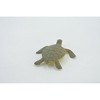 Collectible Wildlife Gifts | Sea Turtle, Hatchling, Plastic Design, Realistic, Reptile, Educational, Model,  Toy,  Gift,      2"       F0039 B123 - 3 of 4