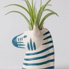 Funky Grasslands Zebra Plant - Good Little Garden™ - 3 of 3
