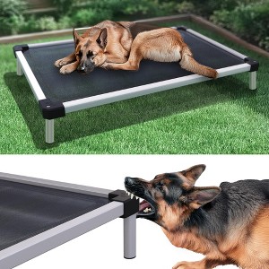 FXW TitanNest Chew-Proof Elevated Dog Bed, Raised Cot for Indoor/Outdoor/Camping Use, Durable & Waterproof Cooling Pet Bed - 1 of 4