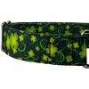 Country Brook Petz 1 1/2 Inch Martingale Dog Collar - Irish Pride Collection - 4 of 4