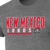 NCAA New Mexico Lobos Men's Gray Tri-Blend Short Sleeve T-Shirt - 3 of 3