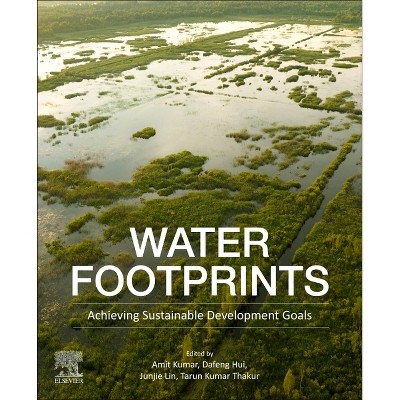 Water Footprints - by  Amit Kumar & Dafeng Hui & Junjie Lin & Tarun Kumar Thakur (Paperback)