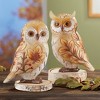 Collections Etc Hand-Painted Fall Leaves and Berries Owl Decorative Statues - Set of 2 4 X 3 X 5.75 - 2 of 2