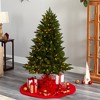 Nearly Natural 5-ft Vermont Spruce Artificial Christmas Tree with 250 Color Changing (Multifunction and Remote Control) - 4 of 4
