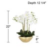 Dahlia Studios Belvois White Orchid 22" High Faux Flowers in Ceramic Pot - 4 of 4