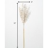 Sullivans Eucalyptus Artificial Stem 32"H Gold - 3 of 3