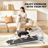 FYC 2025 New Design Pet Treadmill with Incline, Quiet Smart Adjustable Speed Perfect for Small/Medium Dogs - 4 of 4