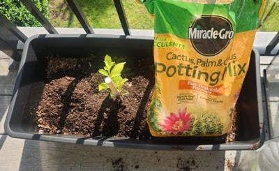 Miracle-Gro Cactus Palm Citrus Potting Soil - 8qt: Enriched Mix