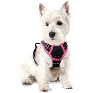 rabbitgoo Dog Harness No Pull with 2 Leash Clips, Oxford No Choke Pet Vest with Easy Control Handle for Large Dogs, Black & Hot Pink, XS - 1 of 1