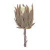 Decorative Faux Protea Stems – Set of 6 – 20"H – Vase & Container Use – By Melrose - 2 of 3