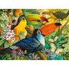 3000 Piece Jigsaw Puzzle, Interlude, Colorful birds, Toucans, Animal puzzles, Nature, Adult Puzzle, Castorland C-300433-2 - 2 of 4