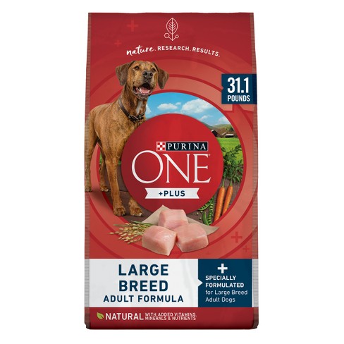 can i feed my medium dog large breed food