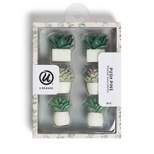 U Brands 6ct Potted Succulent Push Pins