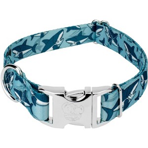 Country Brook Petz Premium Sharks Dog Collar - 1 of 4