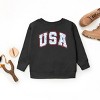 The Juniper Shop USA Blue Willow Youth Sweatshirt - 3 of 4