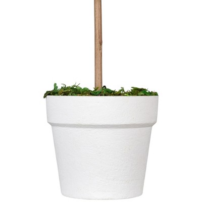 Elegant Outdoor Reindeer Moss Topiary in White Pot, 14" High