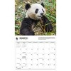 BrownTrout 2025 Wall Calendar 12"x14" Giant Pandas WWF - 3 of 4