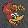 Woody Woodpecker Retro Logo Adult Pull-Over Hoodie - 2 of 4