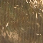 farmhouse gray
