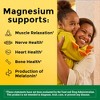 Nature Made Magnesium Chew Dietary Supplement Chewables - 40ct - 4 of 4