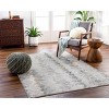 Hauteloom Lalo Textured Rug with Fringes - 2 of 4