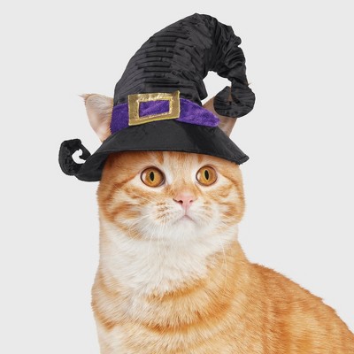 Halloween Witch Hat Cat Costume - Hyde & Eek! Boutique™ One Size Fits ...