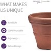 Crescent Garden Brunello Classic Rolled-Rim Plant Pot - 2 of 4