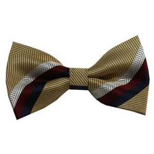 Men's Stripe Color 2.75 W And 4.75 L Inch Pre-Tied adjustable Bow Ties - 1 of 3