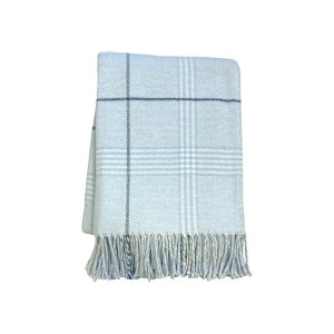 HomeRoots 50" X 67" Sky Blue And White Plaid Cotton Blend Woven Throw Blanket with Fringe - 1 of 4