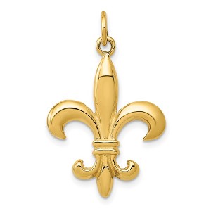 Black Bow Jewelry 14k White or Yellow Gold Solid 3D Fleur De Lis Pendant, 17mm (5/8 in) - 1 of 4