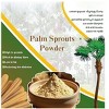 Shastha Palm Era Kali Mix ( Kali Powder ) + Palm Sprouts Powder (PanaKizhangu Mavu ) / Health Mix Powder - Pack Of 2 , Each 350 g - 4 of 4