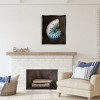 Stupell Industries Dark Nautilus Shell, 25" x 31" - 2 of 4