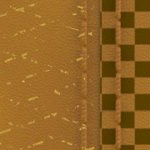 seth freakin rollins