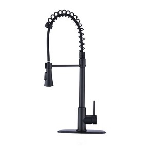 PROOX Single-Handle Pull Down Sprayer Kitchen Faucet - 1 of 4
