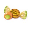 Werther's Original Halloween Harvest Caramel Apple Filled Hard Candies - 9.4oz - 4 of 4